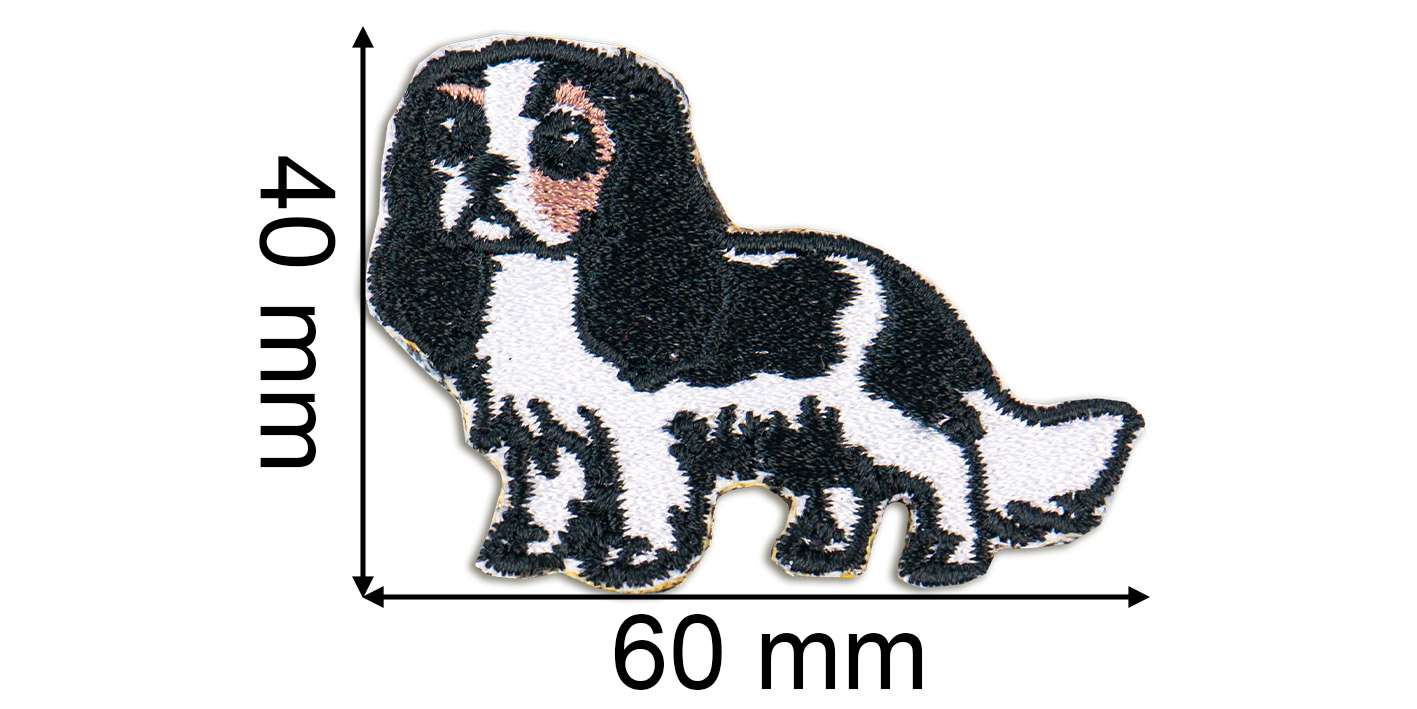 Naszywka naprasowanka cavalier king charles spaniel